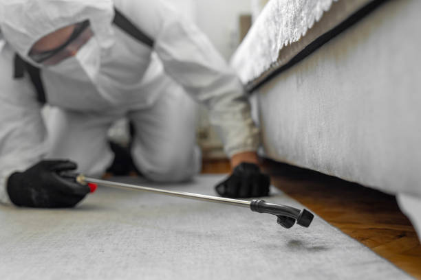 Professional Termite Control technician working in Burwell, NE