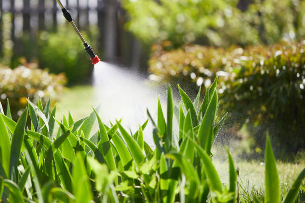24/7 Emergency Termite Control experts in Burwell, NE