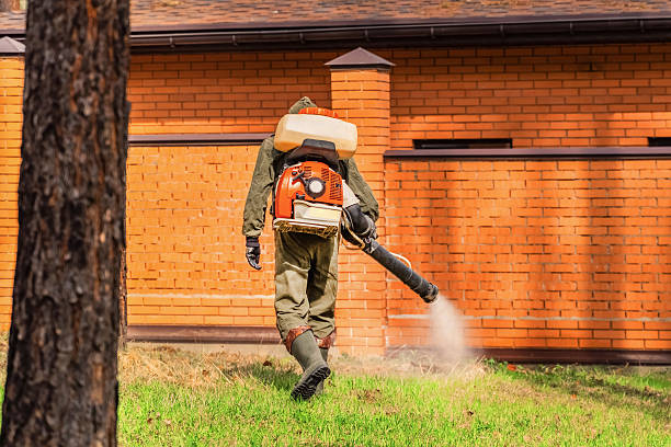 Top rated local Termite Control specialists in Burwell, NE
